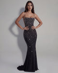 Lumina – Black Gradient Mesh Maxi Gown Clotheshomes™