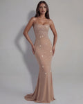 Lumina – Cream Gradient Mesh Maxi Gown Clotheshomes™